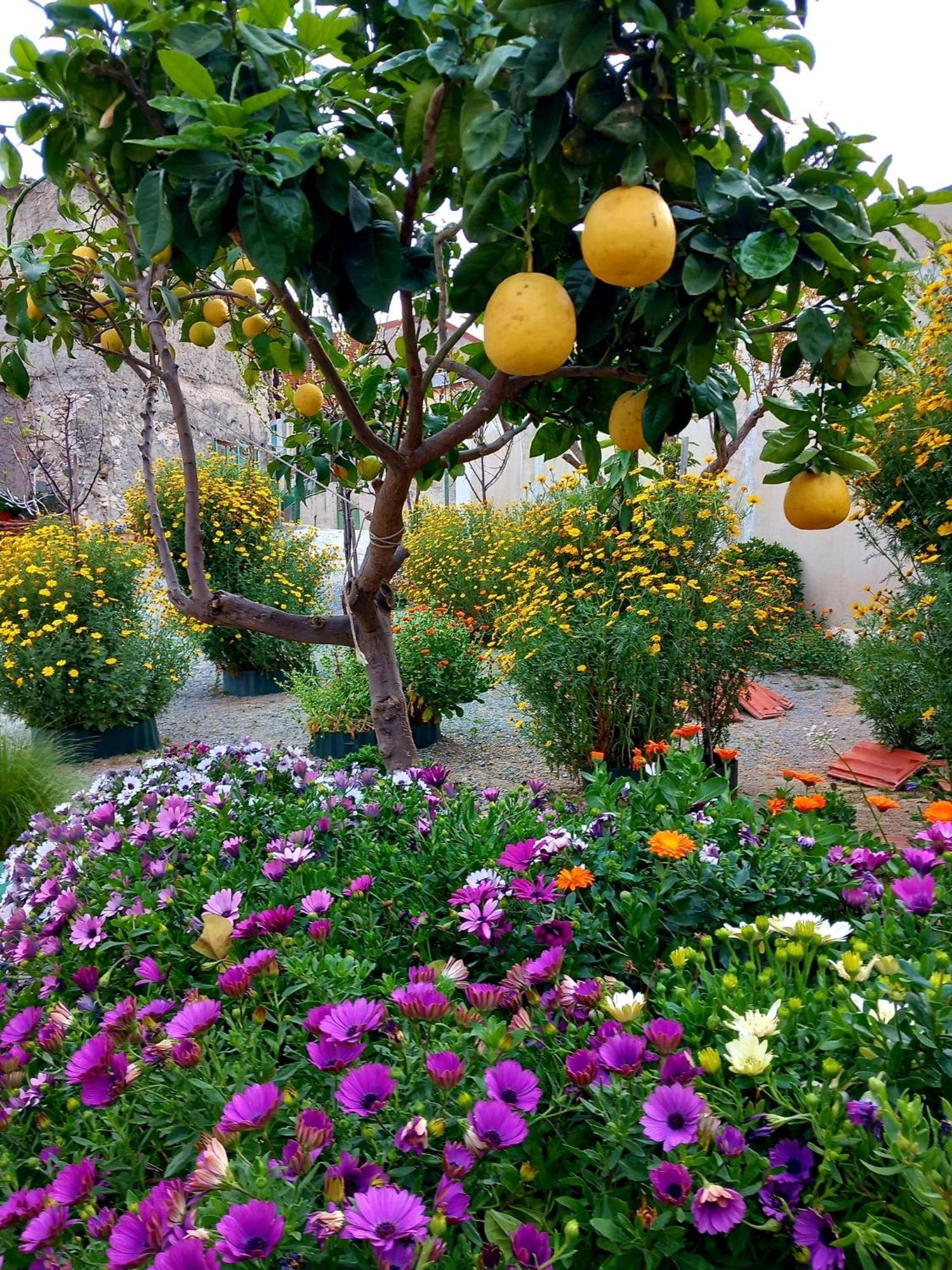 4 Seasons Suites Paradise Near Athens Airport 2 Markopoulo Mesogaias Exterior photo